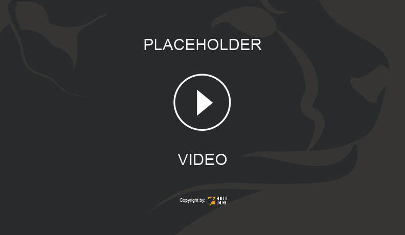 Placeholder Video Image